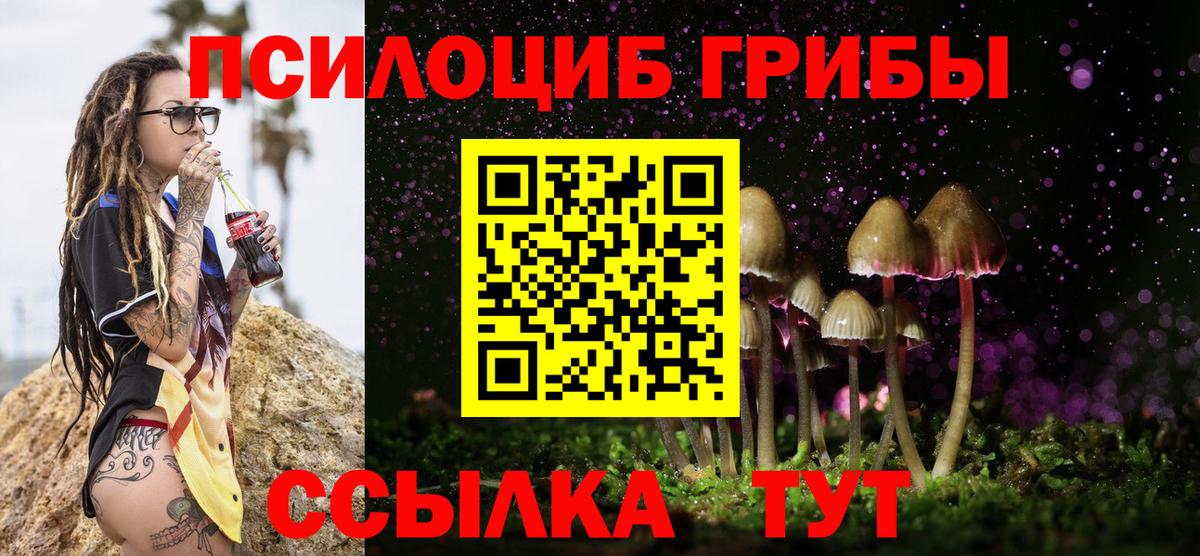 Псилоцибиновые грибы MAGIC MUSHROOMS Тверь