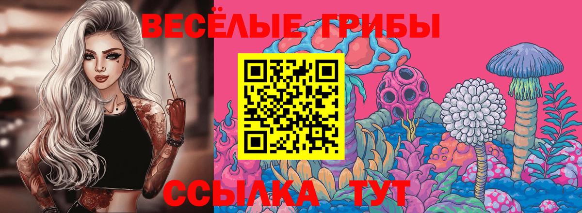 Тверь  Галлюциногенные грибы Magic Shrooms  как найти закладки  Галлюциногенные грибы мухоморы  Вход с VPN 