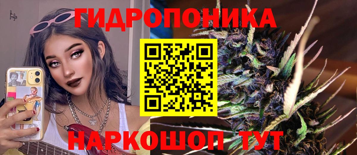 Шишки марихуана индика  Бошки Шишки план  Вход с VPN  Бошки Шишки Bruce Banner  Тверь 